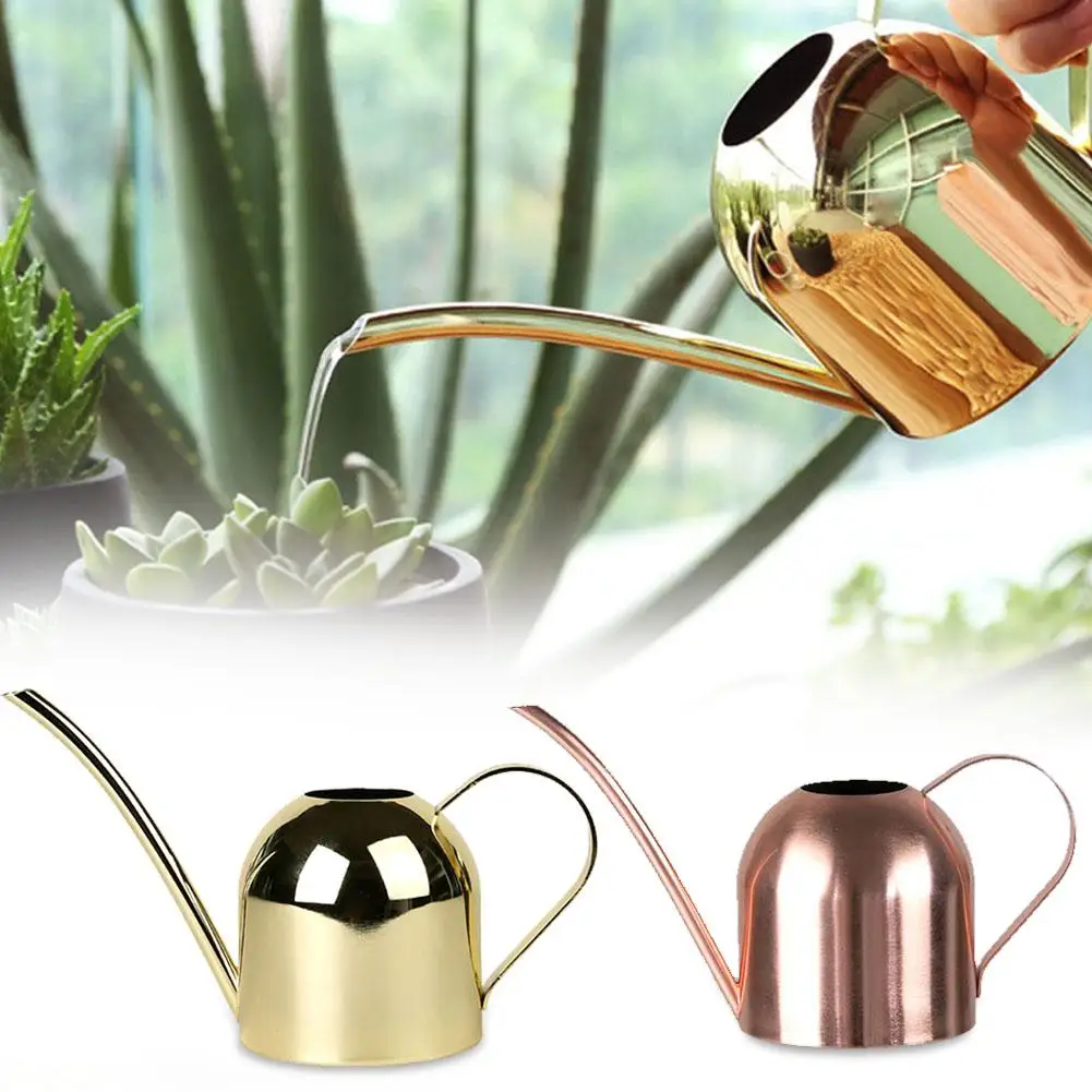 Stainless Steel Watering Can