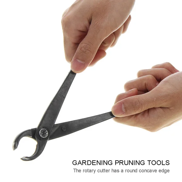 210mm Branch Cutter | Bonsai Maintenance and Garden Styling Pruning Tool - Image 4