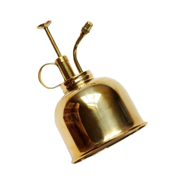 Vintage Brass Watering Can Spray Bottle | Golden Succulent & Plant Mister for Gardening - Image 8