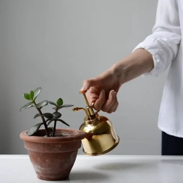 Vintage Brass Watering Can Spray Bottle | Golden Succulent & Plant Mister for Gardening - Image 4