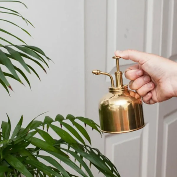 Vintage Brass Watering Can Spray Bottle | Golden Succulent & Plant Mister for Gardening - Image 3