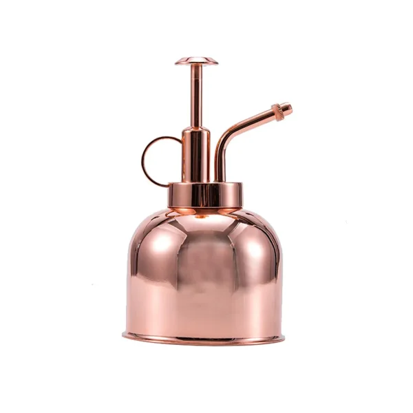 Vintage Brass Watering Can Spray Bottle | Golden Succulent & Plant Mister for Gardening - Image 9