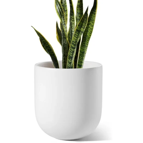 10-Inch Ceramic Plant Pot | Indoor Planter with Drainage Hole & Rubber Plug for Home, Garden, Patio, or Office - Image 7