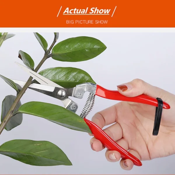 Straight Pruning Shears | Stainless Steel Florist Scissors & Multifunctional Garden Snips for Precision Cutting - Image 4