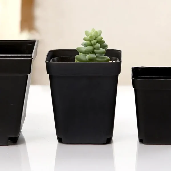 50PCS Mini Plastic Square Flower Pots | Decorative Succulent Planters for Nursery & Garden - Image 3