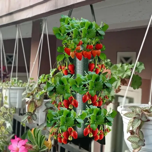 New Fabric Flower Bag Strawberry Growing Bag Plant Pot Wall Hanging Planter Vertical Vegetables Potatoes Greenhouse Garden Tools - Image 3