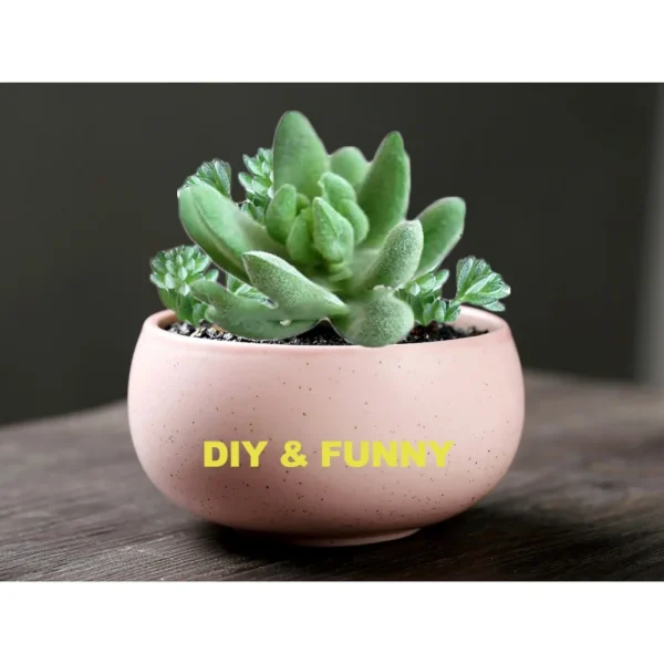 11pcs Artificial Succulents | Mini Faux Flowers for DIY Craft, Home & Office Decor - Image 5