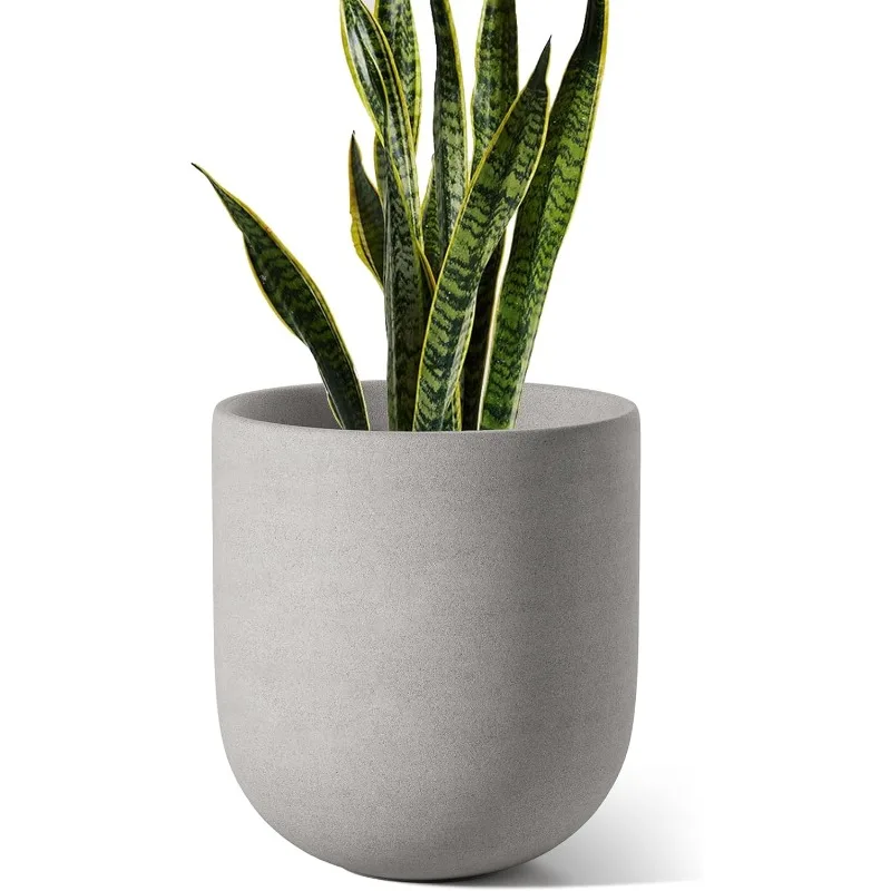 10-Inch Ceramic Plant