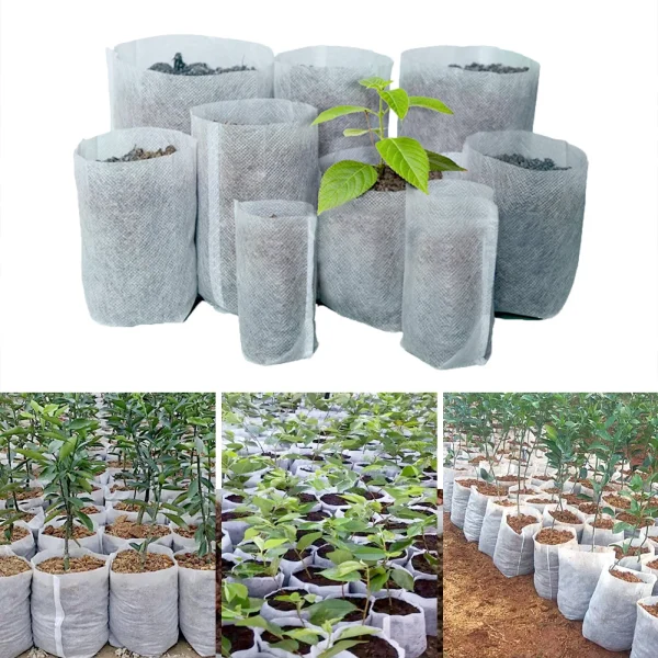 100Pcs Biodegradable Seedling