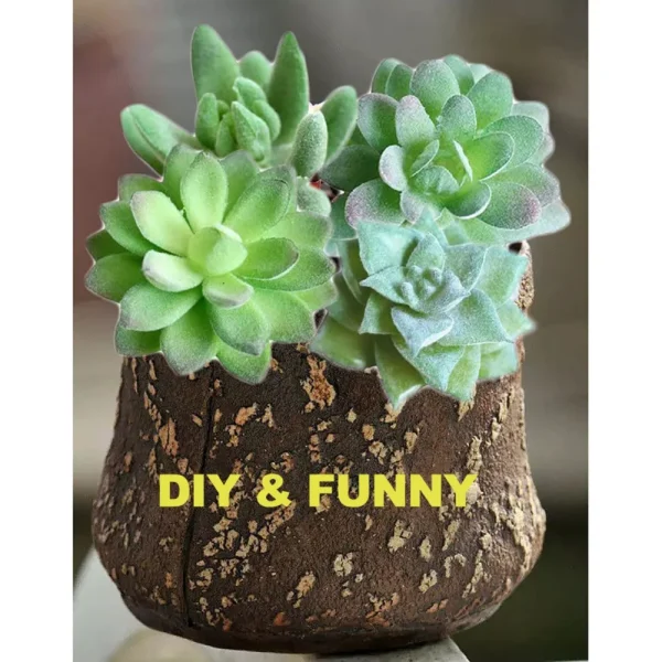 11pcs Artificial Succulents | Mini Faux Flowers for DIY Craft, Home & Office Decor - Image 6