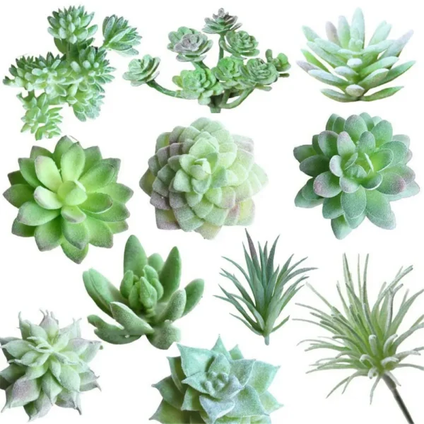 11pcs Artificial Succulents