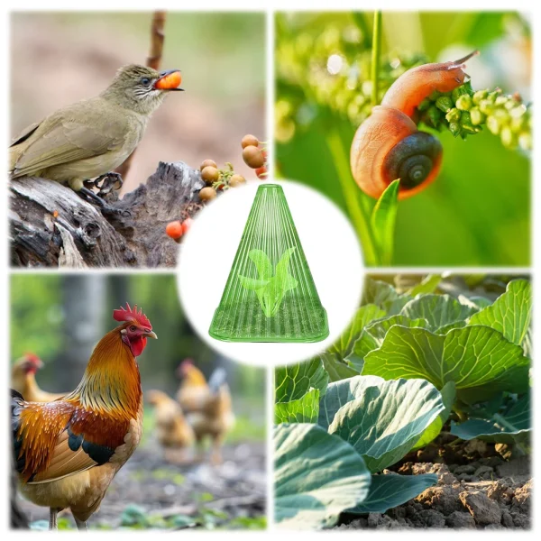 5-31PCS Green Garden Cloches | Weather and Snail Protection for Plants - Image 4