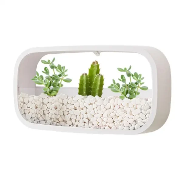 Wall Hanging Planter | Stylish Rectangle Wall-Mounted Flower Pot for Air Plants & Geometric Wall Decor - Image 3