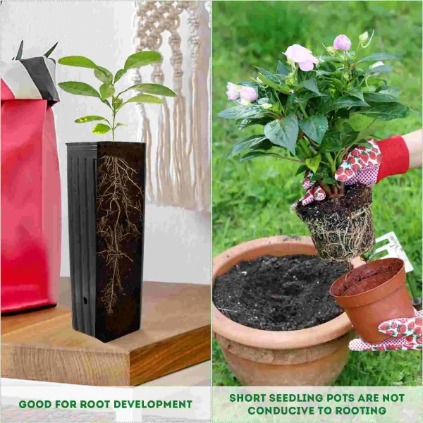 60 Pcs PE Tall Seedling Bags – Tree Pots & Plant Grow Containers for Indoor & Outdoor Nursery - Image 4