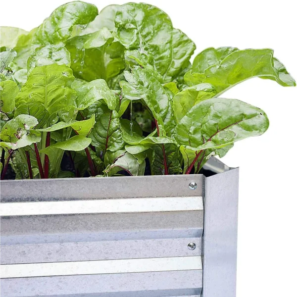 FOYUEE Galvanized Raised Garden Bed | 8x4x1ft Metal Planter for Vegetables, Flowers & Herbs - Image 5