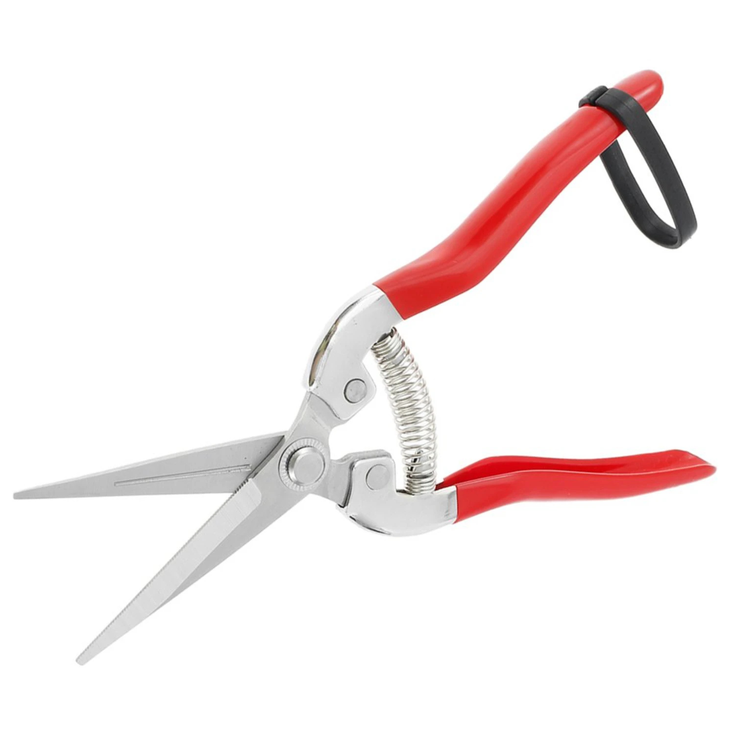 Straight Pruning Shears