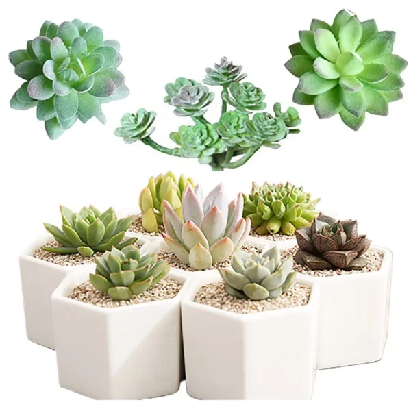 11pcs Artificial Succulents | Mini Faux Flowers for DIY Craft, Home & Office Decor - Image 3