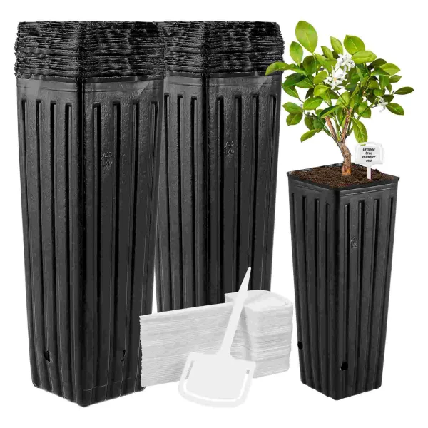 60 Pcs PE Tall Seedling Bags – Tree Pots & Plant Grow Containers for Indoor & Outdoor Nursery - Image 3