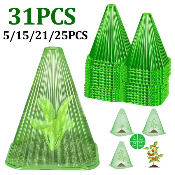 5-31PCS Green Garden Cloches | Weather and Snail Protection for Plants - Image 2