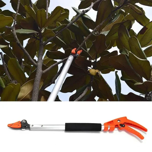 Cut and Hold Tree Pruner | Short Reach Branch Cutter & Fruit Picker with Rotating Blade Head - Image 3