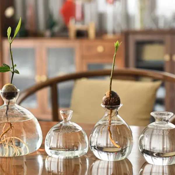 Avocado Seed Starter Vase | Transparent Glass Growing Kit for Plants & Gardening Lovers - Image 2